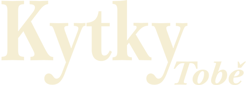 Kytky tobě - květnářství v centru Brna